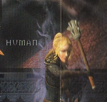 Human Human